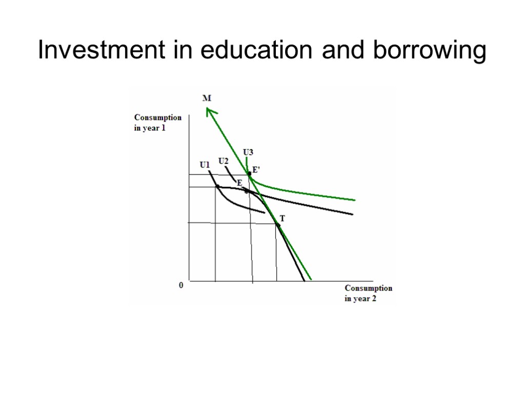 Investment in education and borrowing